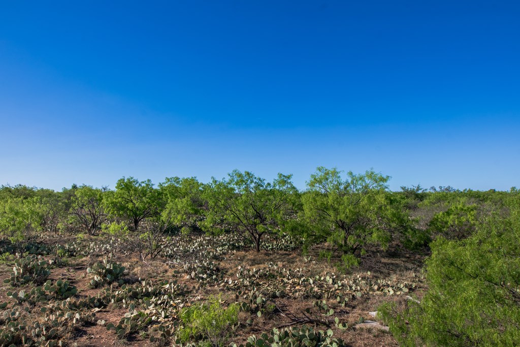 3980 S Other, Eden, Texas image 39