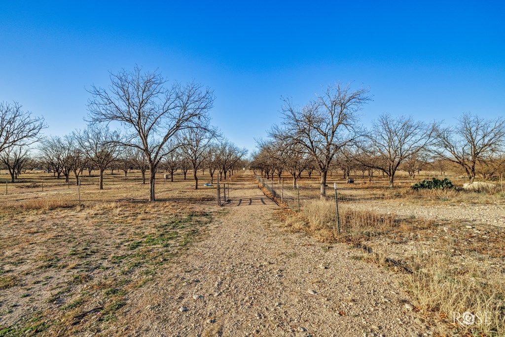 11317 E Dove Creek East Lane, San Angelo, Texas image 48