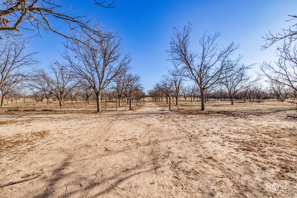 11317 E Dove Creek East Lane, San Angelo, Texas image 43