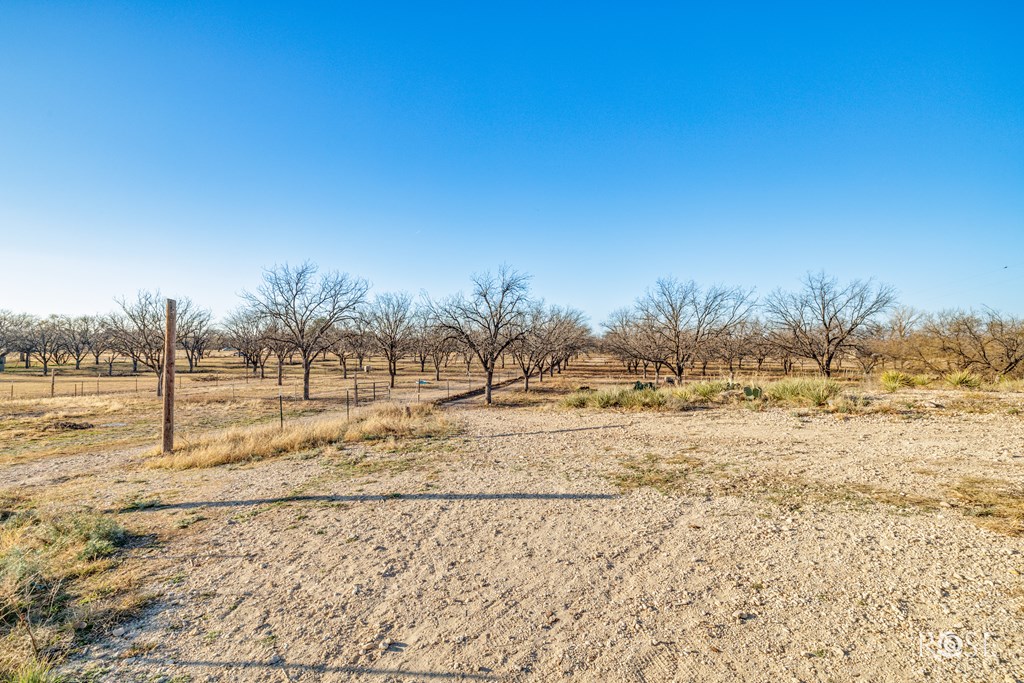 11317 E Dove Creek East Lane, San Angelo, Texas image 47