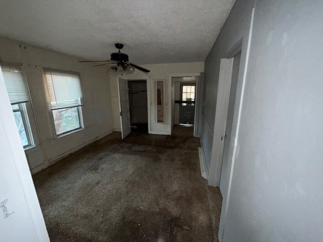 11613 Fort Worth St, Carlsbad, Texas image 3