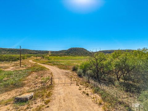 Vacant Land For Sale - 0000 Poverty Canyon Road<br/> Coke County, Bronte, TX 76933
