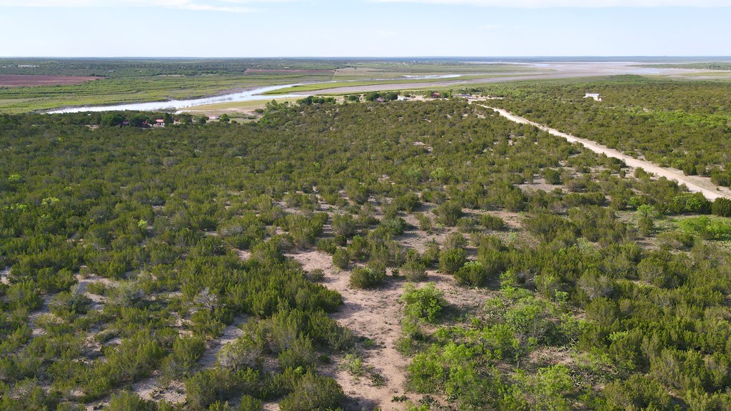 12005 Choctaw Ridge #TRACT 1, Millersview, Texas image 9
