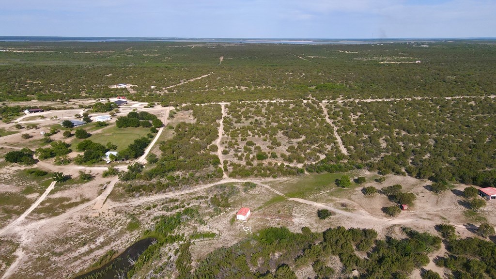 12005 Choctaw Ridge #TRACT 1, Millersview, Texas image 18