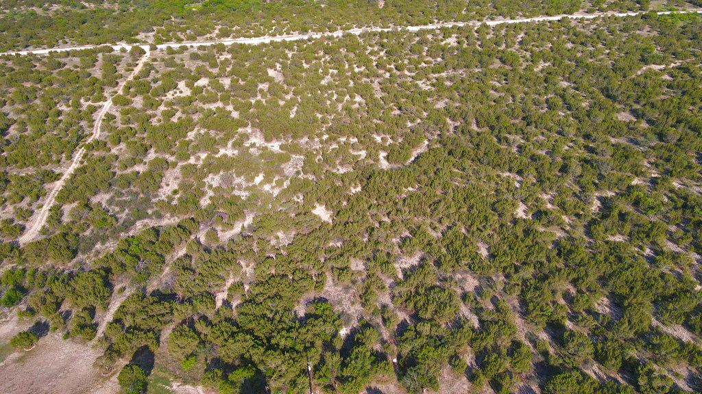 12005 Choctaw Ridge #TRACT 1, Millersview, Texas image 13