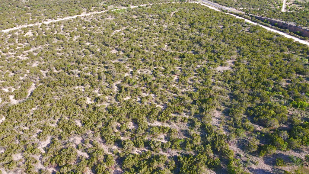 12005 Choctaw Ridge #TRACT 1, Millersview, Texas image 12