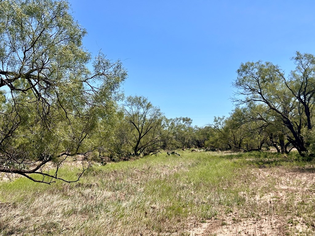 12015 Mule Deer Trail #2, San Angelo, Texas image 5