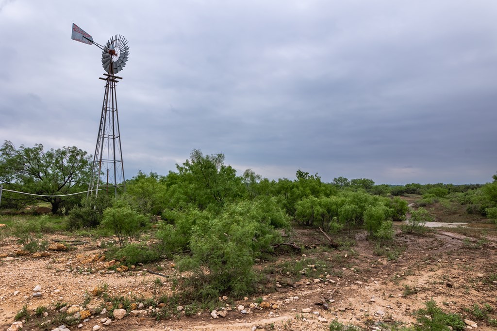 2020 Fm 2635, Lohn, Texas image 8