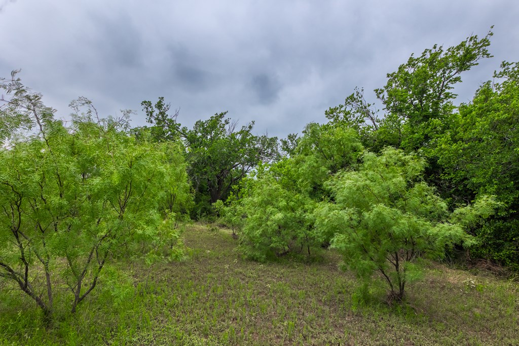 2020 Fm 2635, Lohn, Texas image 31