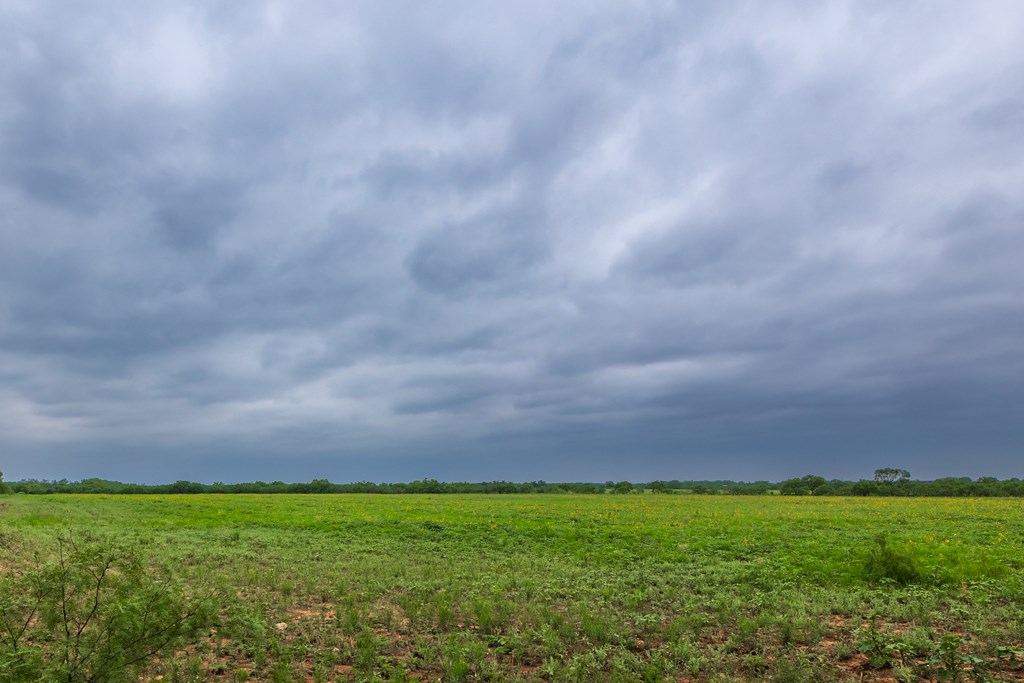 2020 Fm 2635, Lohn, Texas image 24