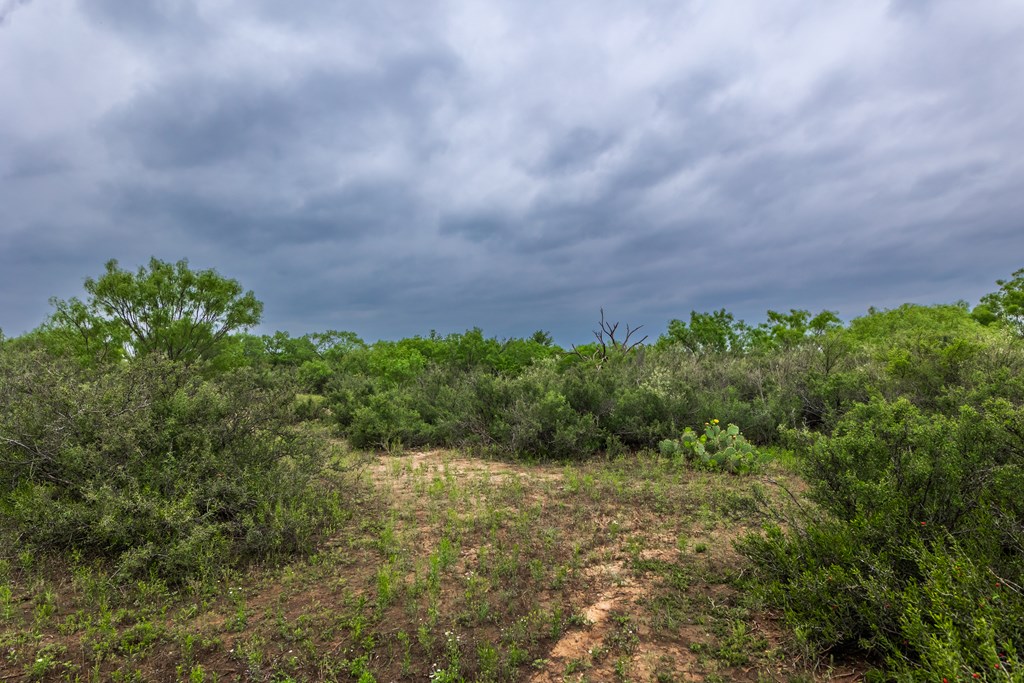 2020 Fm 2635, Lohn, Texas image 15