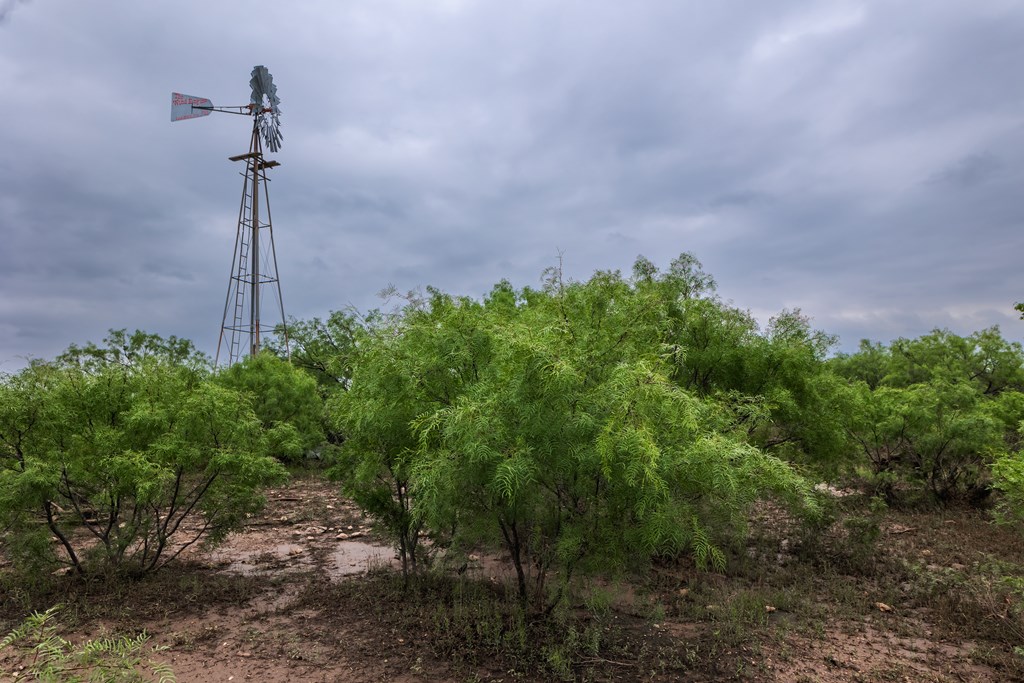 2020 Fm 2635, Lohn, Texas image 10