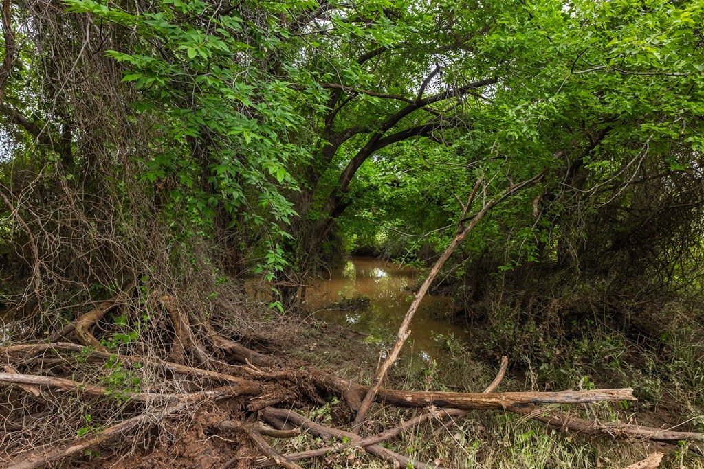 2020 Fm 2635, Lohn, Texas image 35