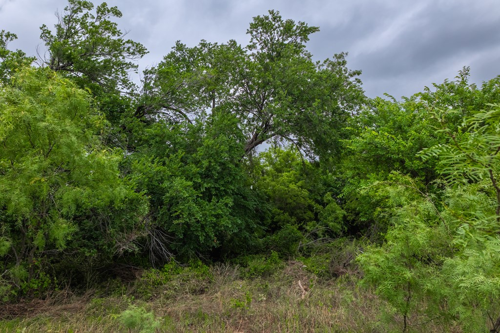 2020 Fm 2635, Lohn, Texas image 30