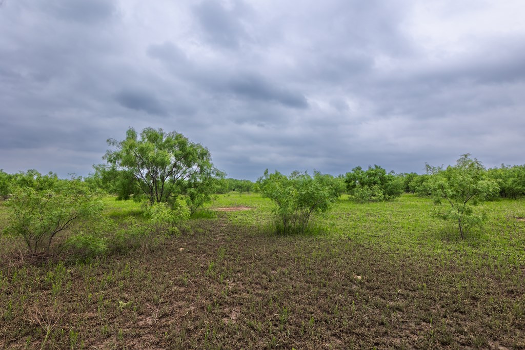 2020 Fm 2635, Lohn, Texas image 3