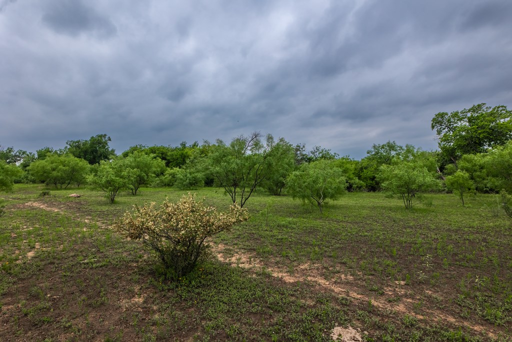 2020 Fm 2635, Lohn, Texas image 28