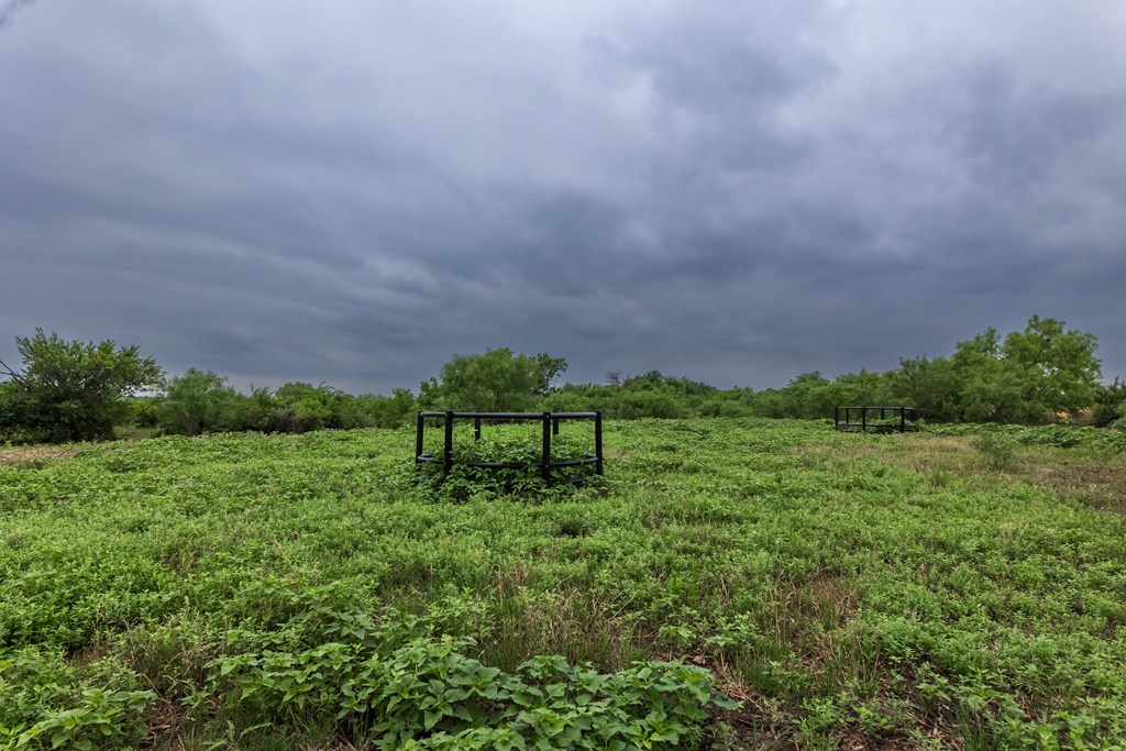 2020 Fm 2635, Lohn, Texas image 14