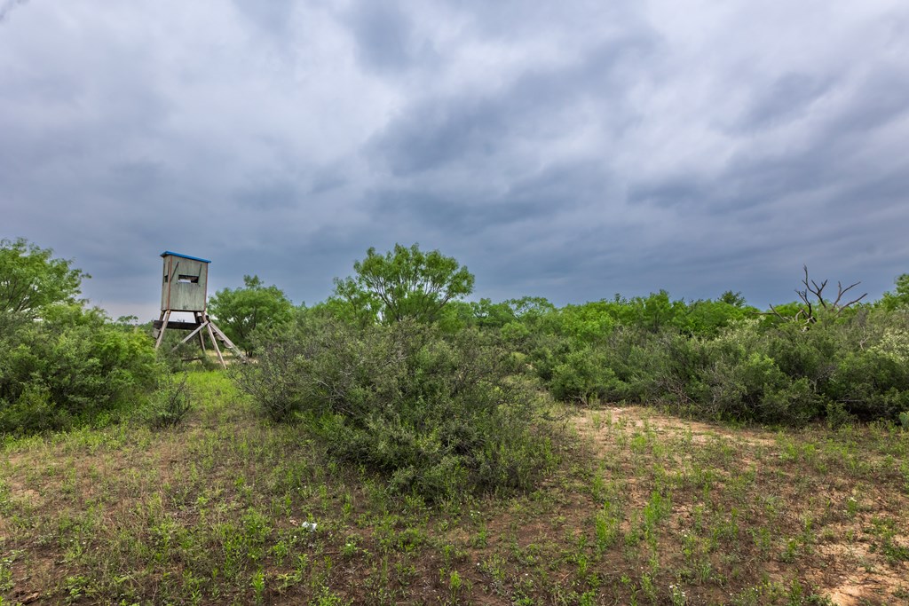 2020 Fm 2635, Lohn, Texas image 16