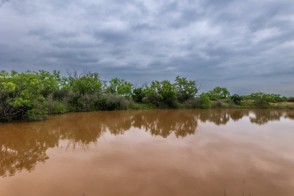 2020 Fm 2635, Lohn, Texas image 20