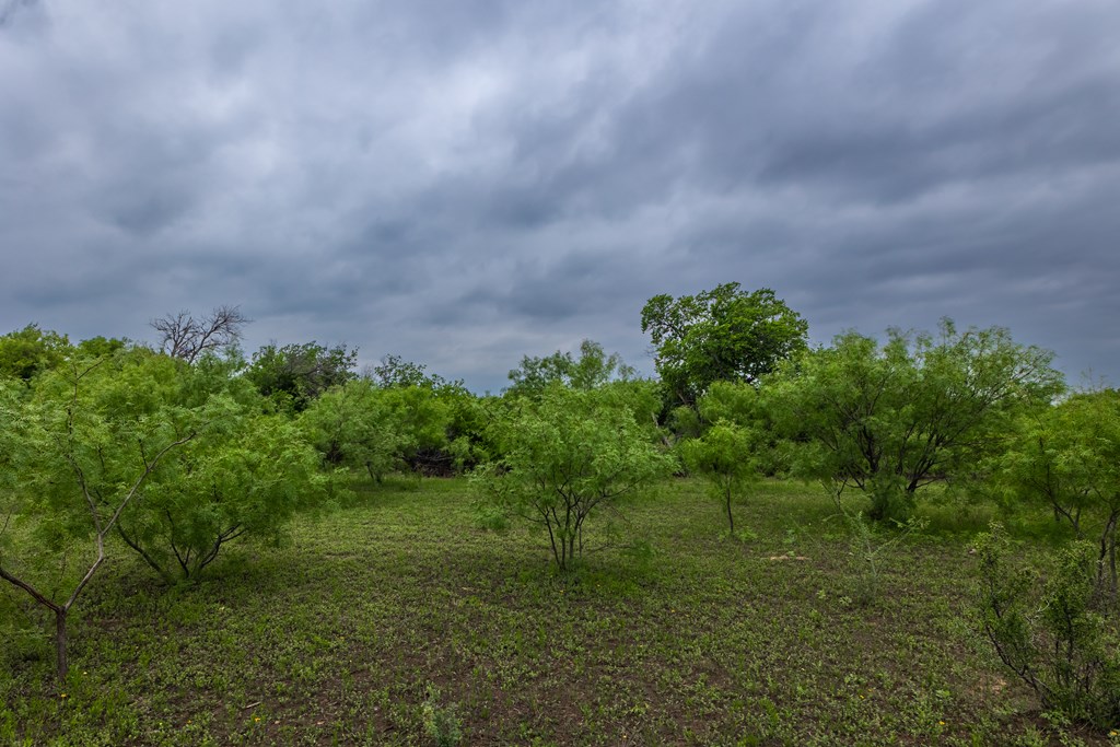 2020 Fm 2635, Lohn, Texas image 29