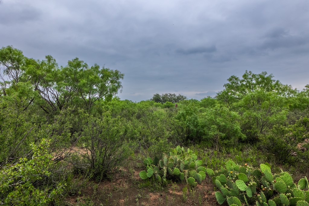 2020 Fm 2635, Lohn, Texas image 17