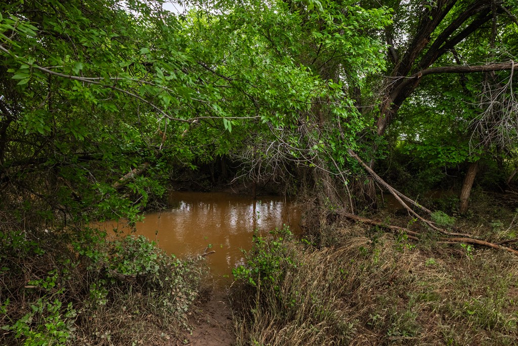 2020 Fm 2635, Lohn, Texas image 34