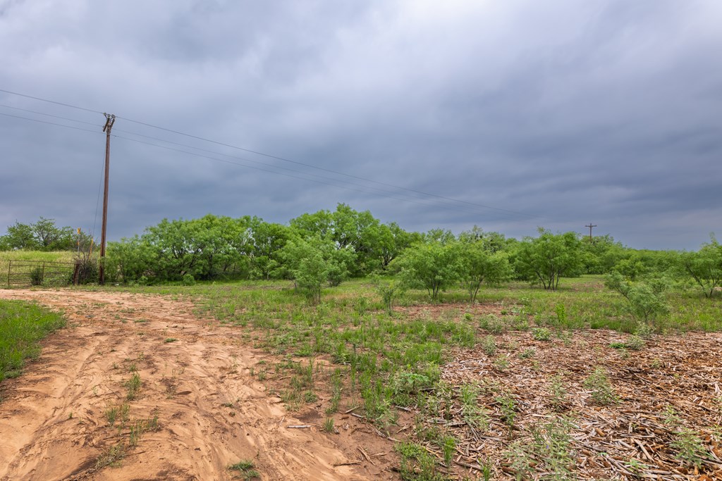 2020 Fm 2635, Lohn, Texas image 37