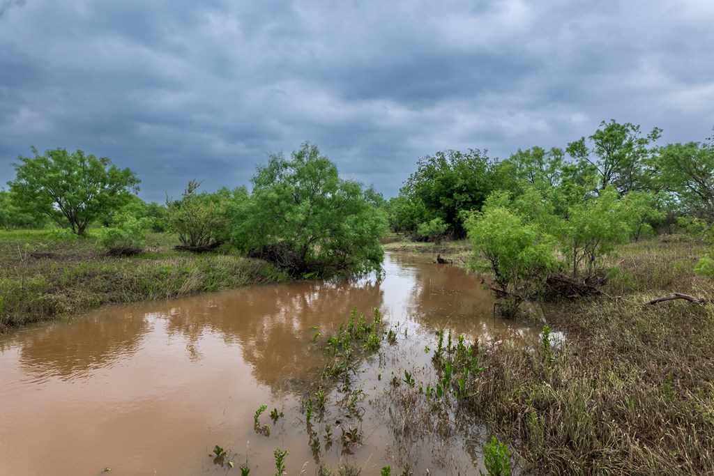 2020 Fm 2635, Lohn, Texas image 44