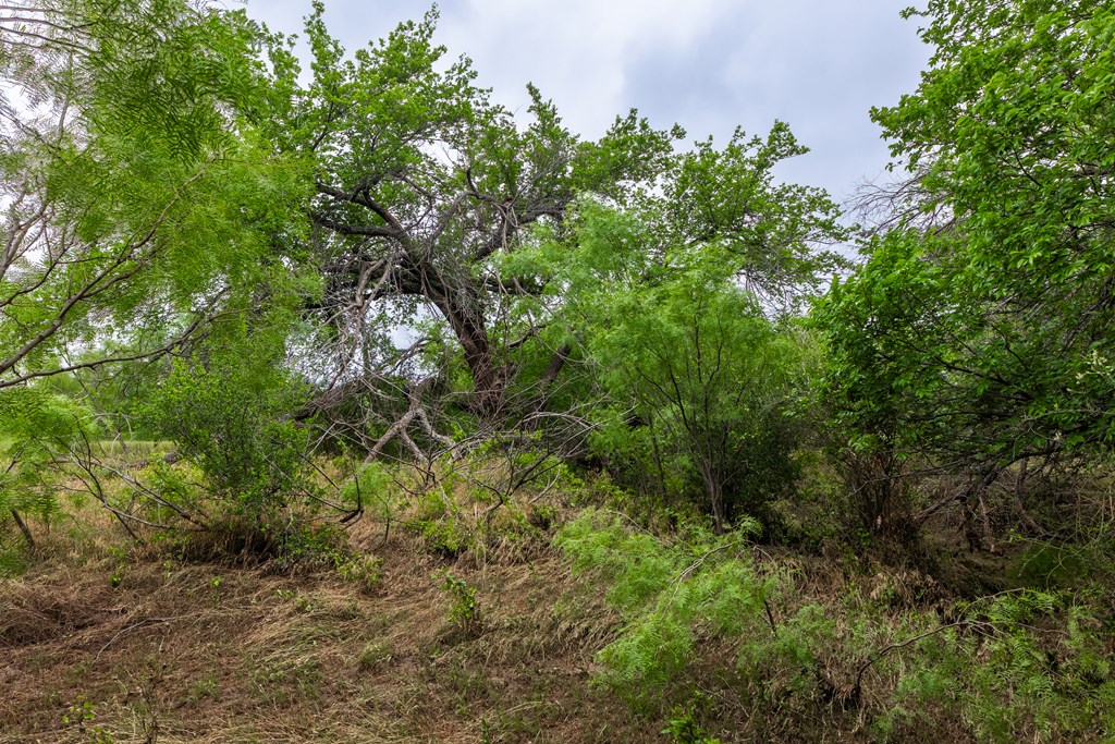 2020 Fm 2635, Lohn, Texas image 33