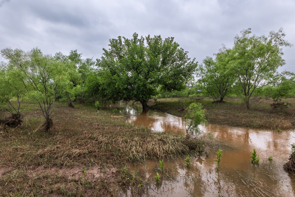 2020 Fm 2635, Lohn, Texas image 50