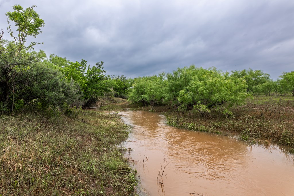 2020 Fm 2635, Lohn, Texas image 48