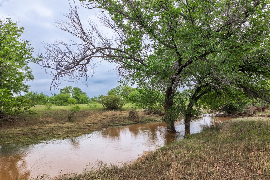 2020 Fm 2635, Lohn, Texas image 2