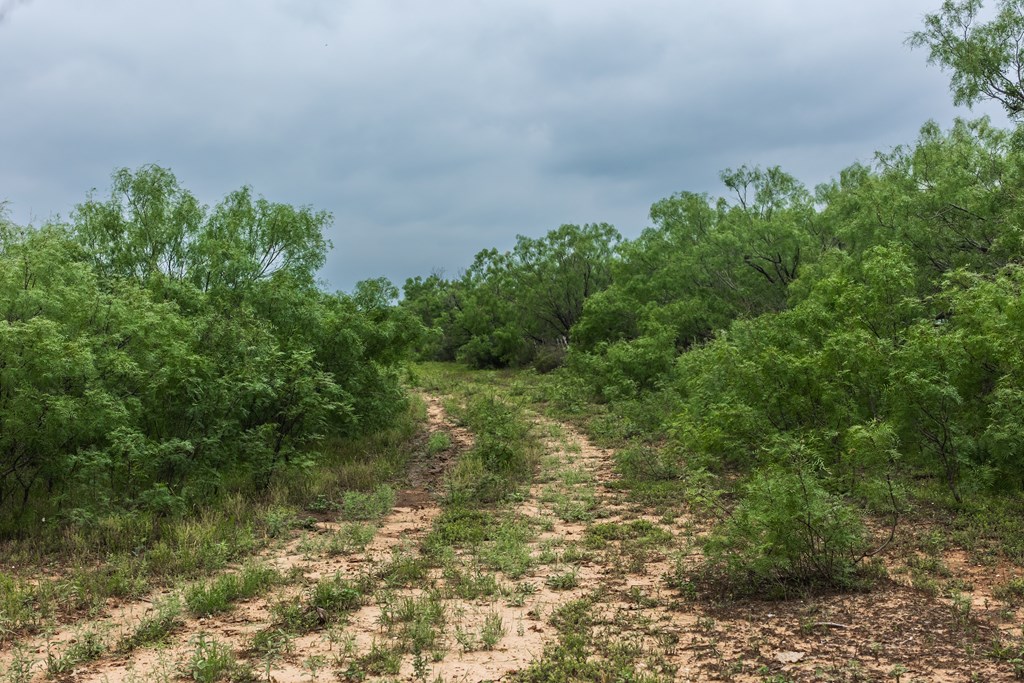 2020 Fm 2635, Lohn, Texas image 13