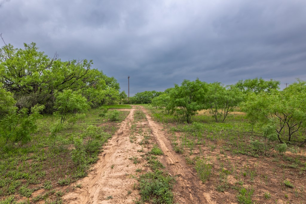 2020 Fm 2635, Lohn, Texas image 36