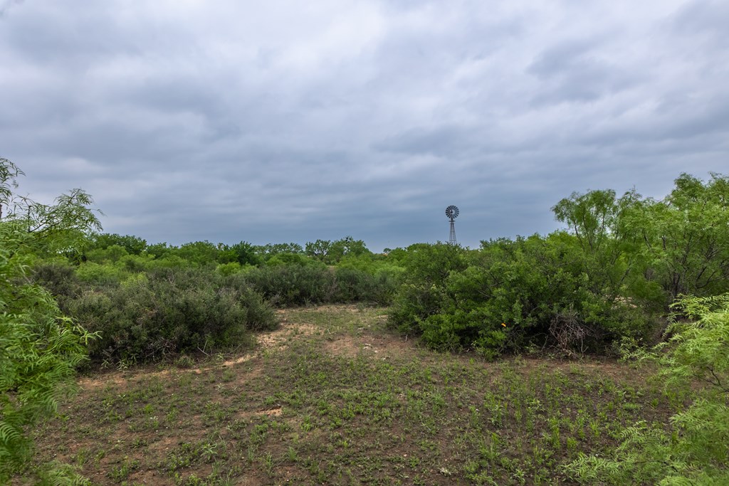 2020 Fm 2635, Lohn, Texas image 27