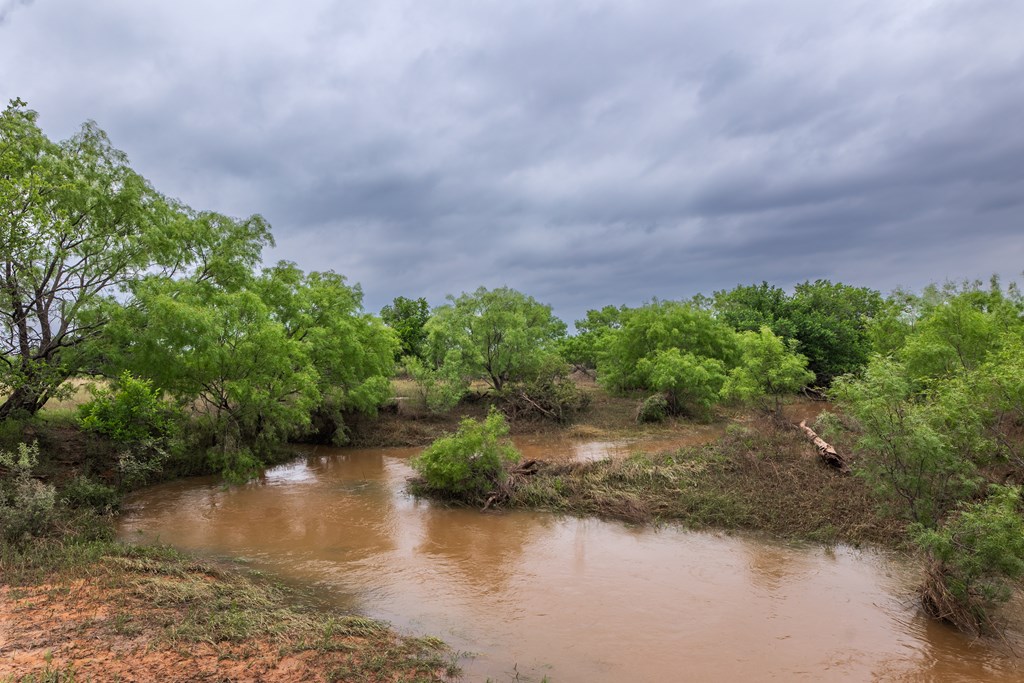 2020 Fm 2635, Lohn, Texas image 4