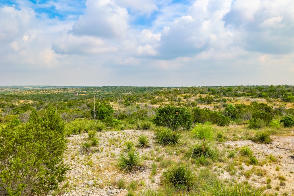 205 Short Rd #35, Ozona, Texas image 18