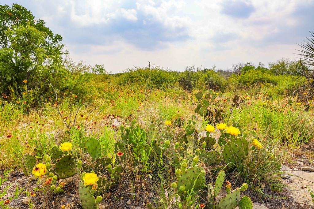 205 Short Rd #35, Ozona, Texas image 15