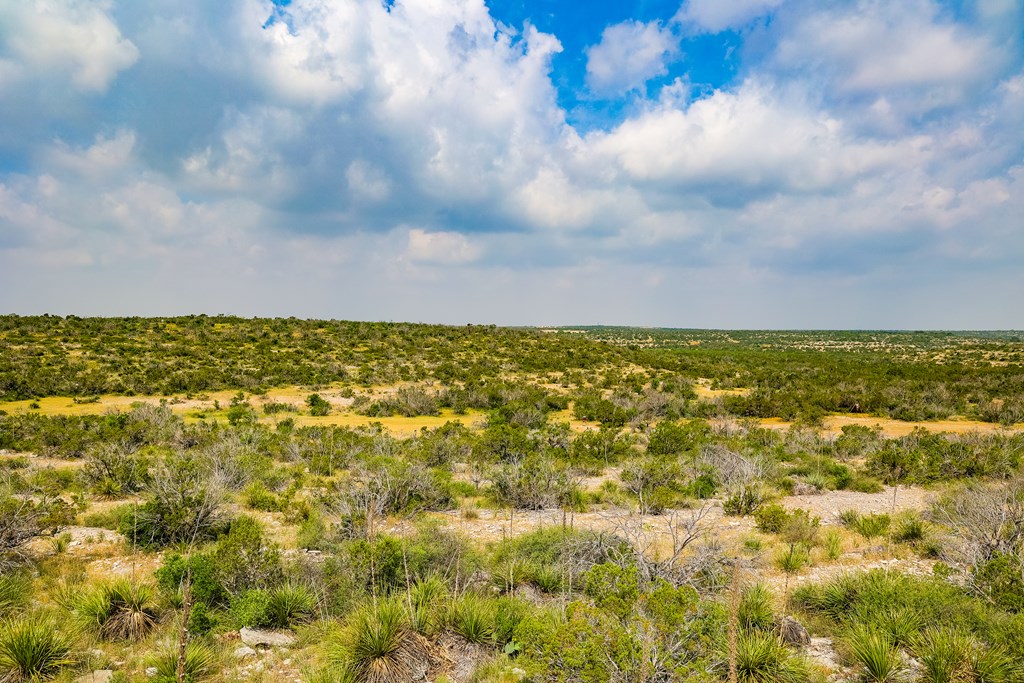 205 Short Rd #35, Ozona, Texas image 12