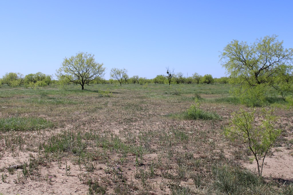 0000 Hwy 67 #427ACRES, Ballinger, Texas image 33