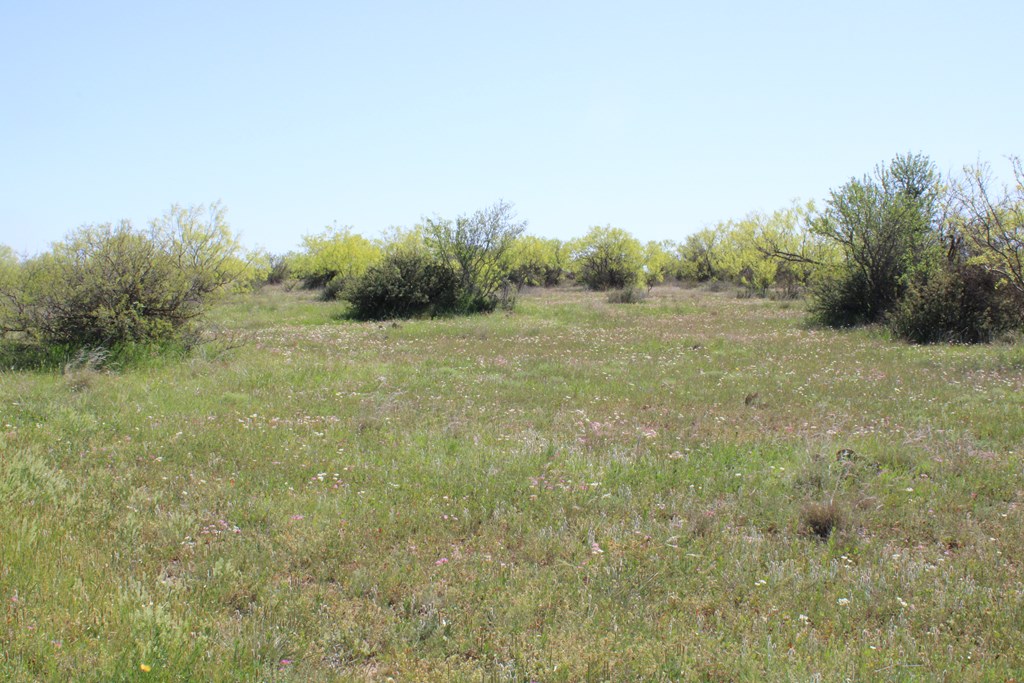 0000 Hwy 67 #427ACRES, Ballinger, Texas image 22