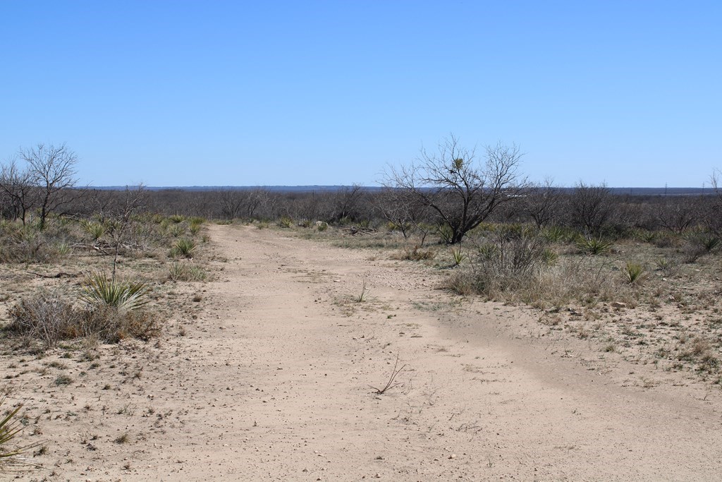 0000 Hwy 67 #427ACRES, Ballinger, Texas image 6