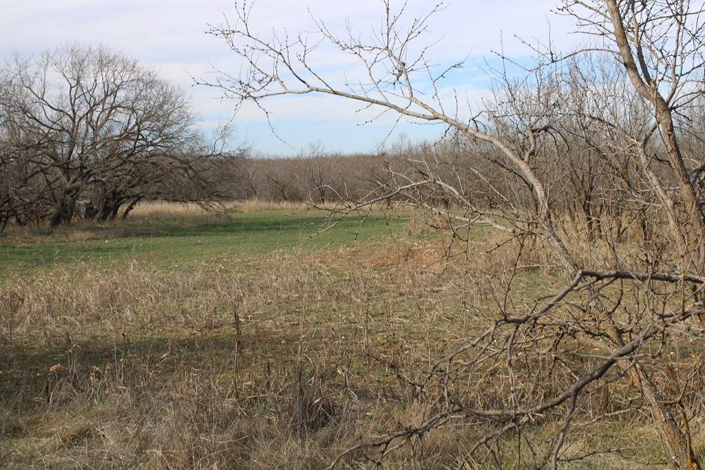 0000 Hwy 67 #427ACRES, Ballinger, Texas image 15