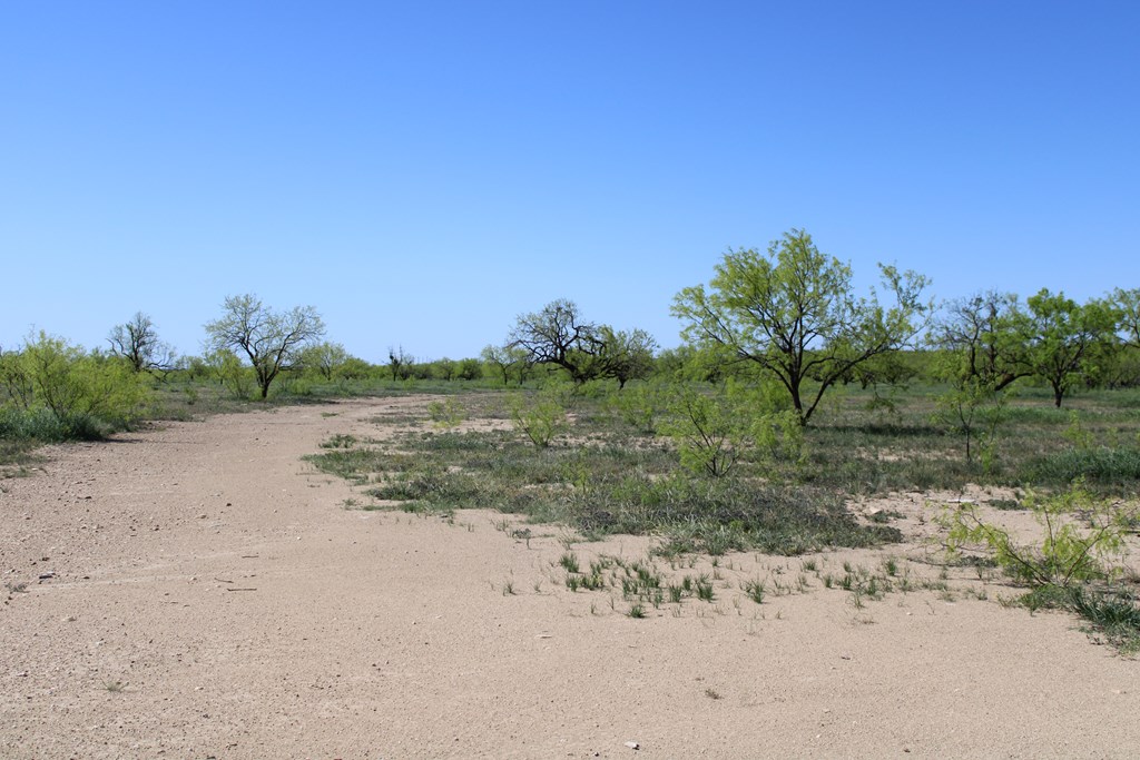 0000 Hwy 67 #427ACRES, Ballinger, Texas image 31