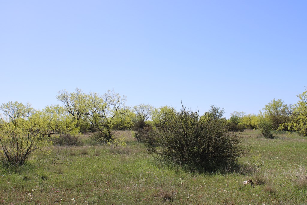 0000 Hwy 67 #427ACRES, Ballinger, Texas image 23