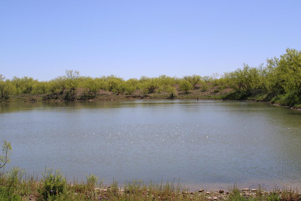 0000 Hwy 67 #427ACRES, Ballinger, Texas image 1