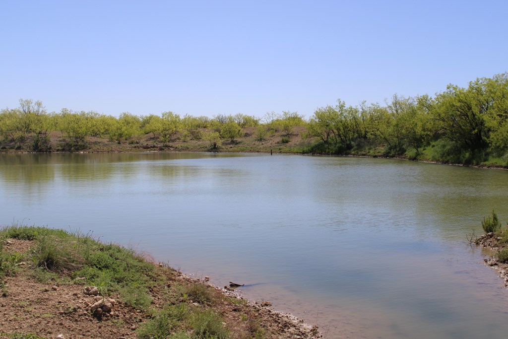 0000 Hwy 67 #427ACRES, Ballinger, Texas image 3