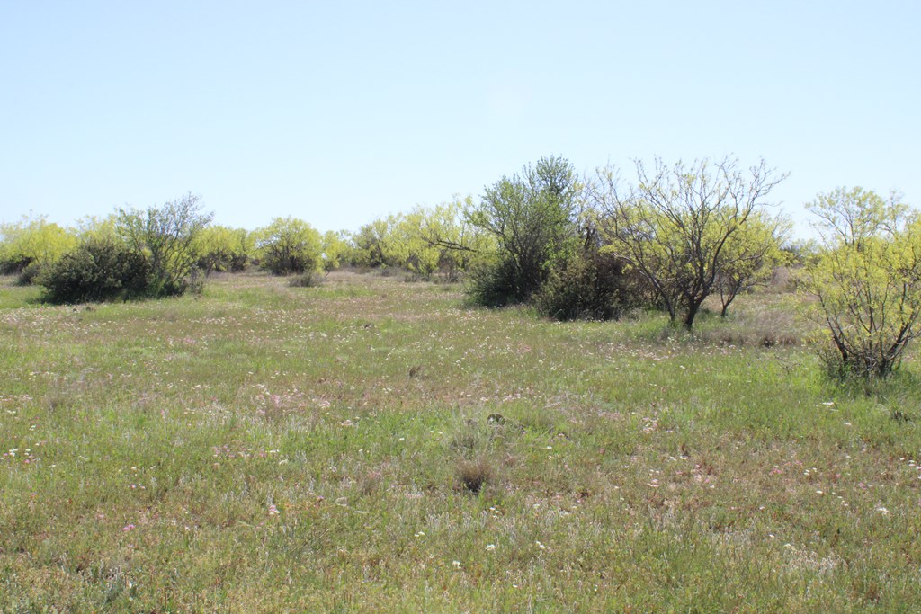 0000 Hwy 67 #427ACRES, Ballinger, Texas image 21