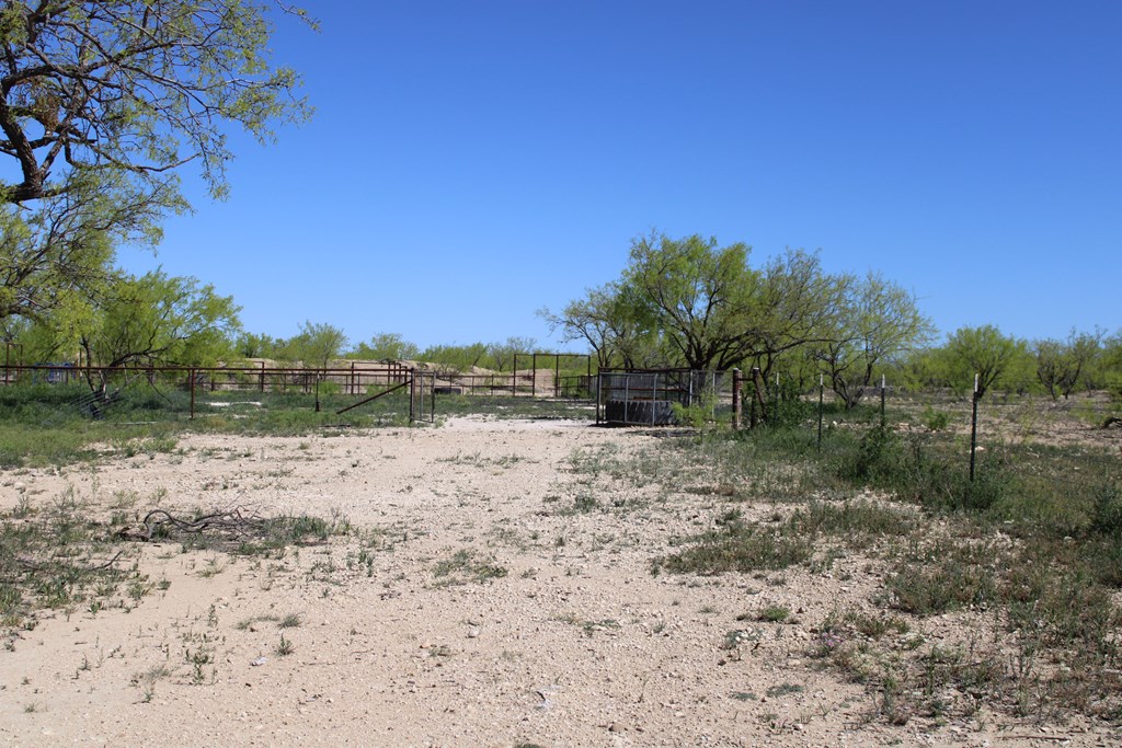 0000 Hwy 67 #427ACRES, Ballinger, Texas image 32