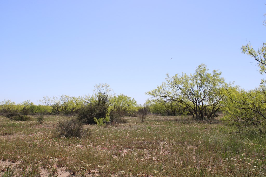 0000 Hwy 67 #427ACRES, Ballinger, Texas image 26